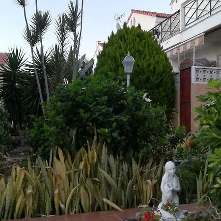 Apartment Tenerife Altamar Paradise