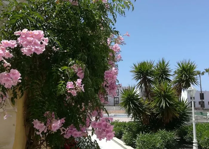 Tenerife Altamar Paradise Playa de las Americas (Tenerife)